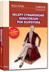 Sklepy cynamonowe  Sanatorium pod Klepsydrą - Schulz Bruno - książka