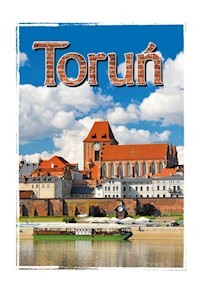 Toruń - Pietruszewska Maria, Bednarek Dariusz - książka