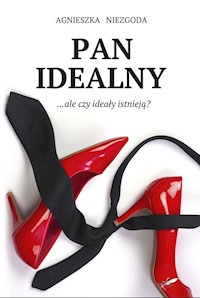 Pan Idealny - Agnieszka Niezgoda - ebook + audiobook + książka