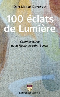100 éclats de lumière - Nicolas Dayez - ebook