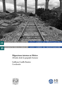 Migraciones internas en México. Miradas desde la geografía humana - Enrique Pérez Campuzano - ebook