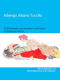 Erzählungen aus hundert und einer schlaflosen Nacht - Alberigo Albano Tuccillo - ebook