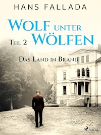 Wolf unter Wölfen, Teil 2 – Das Land in Brand - Hans Fallada - ebook
