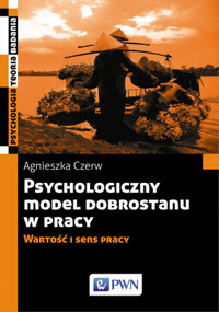 Psychologiczny model dobrostanu w pracy. Wartość i sens pracy - Agnieszka Czerw - książka