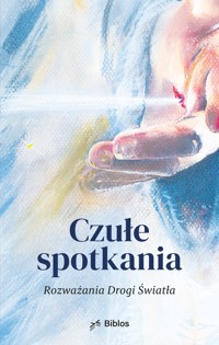 Czułe spotkania. Rozważania drogi światła - Agnieszka Majewska (red.)Elżbieta Smajdor, Anna Krajewska, Katarzyna Prokopowicz, Irmina Śliwińska, Magdalena Figas - ebook