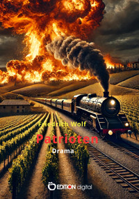 Patrioten - Wolf Friedrich - ebook