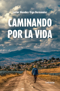 Caminando por la vida - Javier Méndez-Vigo Hernández - ebook