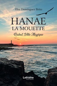 Hanae La mouette - Elsa Domínguez Brito - ebook