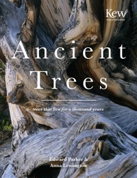 Ancient Trees - Anna Lewington - ebook