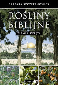Rośliny biblijne - Szczepanowicz Barbara - książka