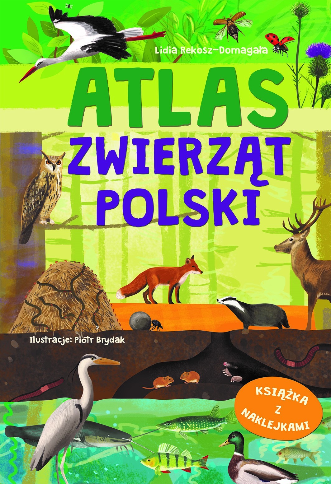 Atlas zwierząt Polski - Lidia Rekosz-Domagała, Piotr Brydak (ilustr.) - książka