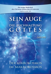 Sein Auge. Die Buchhaltung Gottes. - Gabriele, Dipl. Ing. Höller - ebook