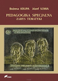 Pedagogika specjalna Zarys tematyki - Krupa Bożena, Sowa Józef - książka