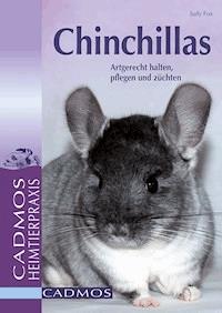 Chinchillas - Judy Fox - ebook