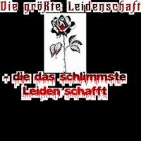 Die größte Leidenschaft - die das schlimmste Leiden schafft - Juliet Hikari - ebook