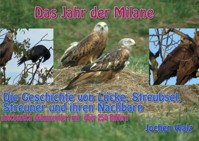 Das Jahr der Milane - Jochen Walz - ebook