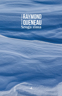 Sroga zima - Raymond Queneau - ebook + książka