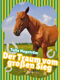 Der Traum vom großen Sieg - Torbjörg Hagström - ebook