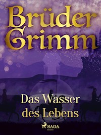 Das Wasser des Lebens - Brüder Grimm - ebook