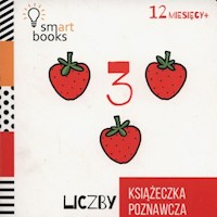 Liczby Książeczka poznawcza -  - książka