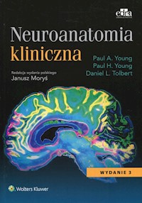 Neuroanatomia kliniczna - Young Paul A., Young Paul H., Tolbert Daniel L. - książka