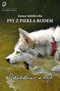 Psy z piekła rodem - Joanna Sędzikowska - książka