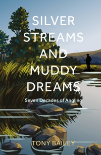 Silver Streams and Muddy Dreams - Tony Bailey - ebook