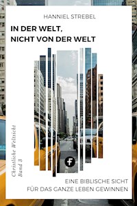 In der Welt, nicht von der Welt - Hanniel Strebel - ebook