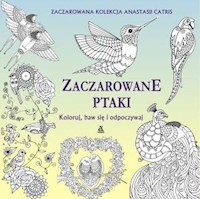 Zaczarowane ptaki Koloruj baw się i odpoczywaj - Catris Anastasia - książka
