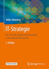 IT-Strategie - Volker Johanning - ebook