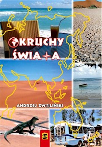Okruchy świata - Andrzej Zwoliński - książka