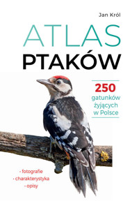 Atlas ptaków 250 gatunków żyjących w Polsce - Król Jan - książka