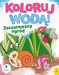 Koloruj wodą Zaczarowany ogród -  - książka