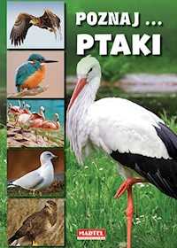 Poznaj... ptaki -  - książka