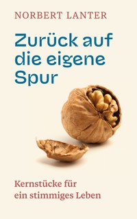Zurück auf die eigene Spur - Norbert Lanter - ebook