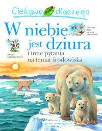Ciekawe dlaczego w niebie jest dziura - Sean Callery - książka