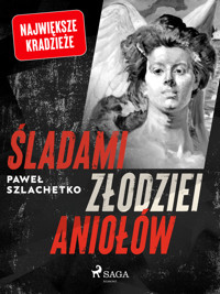 Śladami złodziei aniołów - Paweł Szlachetko - ebook + audiobook
