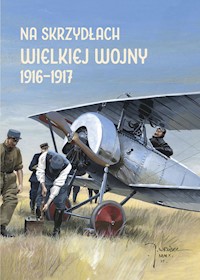 Na skrzydłach Wielkiej Wojny 1916-1917 - Olejko Andrzej, Potempa Harald, Plavec Michal - książka