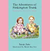 The Adventures of Pinkington Trunk - Sarah Jane - ebook