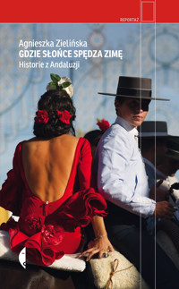 Gdzie słońce spędza zimę - Zielińska Agnieszka - ebook