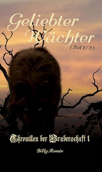 Geliebter Wächter - Billy Remie - ebook