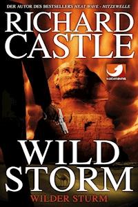 Derrick Storm 2: Wild Storm - Wilder Sturm - Richard Castle - ebook