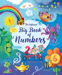 Big Book of Numbers - Brooks Felicity - książka