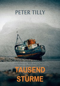Tausend Stürme - Peter Tilly - ebook