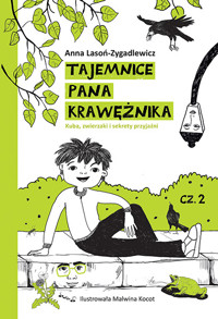 Tajemnice Pana Krawężnika - Anna Lasoń-Zygadlewicz - audiobook