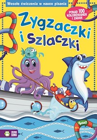 Zygzaczki i szlaczki -  - książka