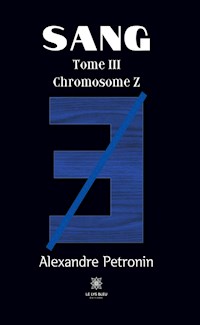 Sang - Tome 3 - Alexandre Pétronin - ebook