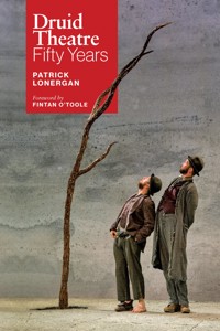 Druid Theatre - Patrick Lonergan - ebook
