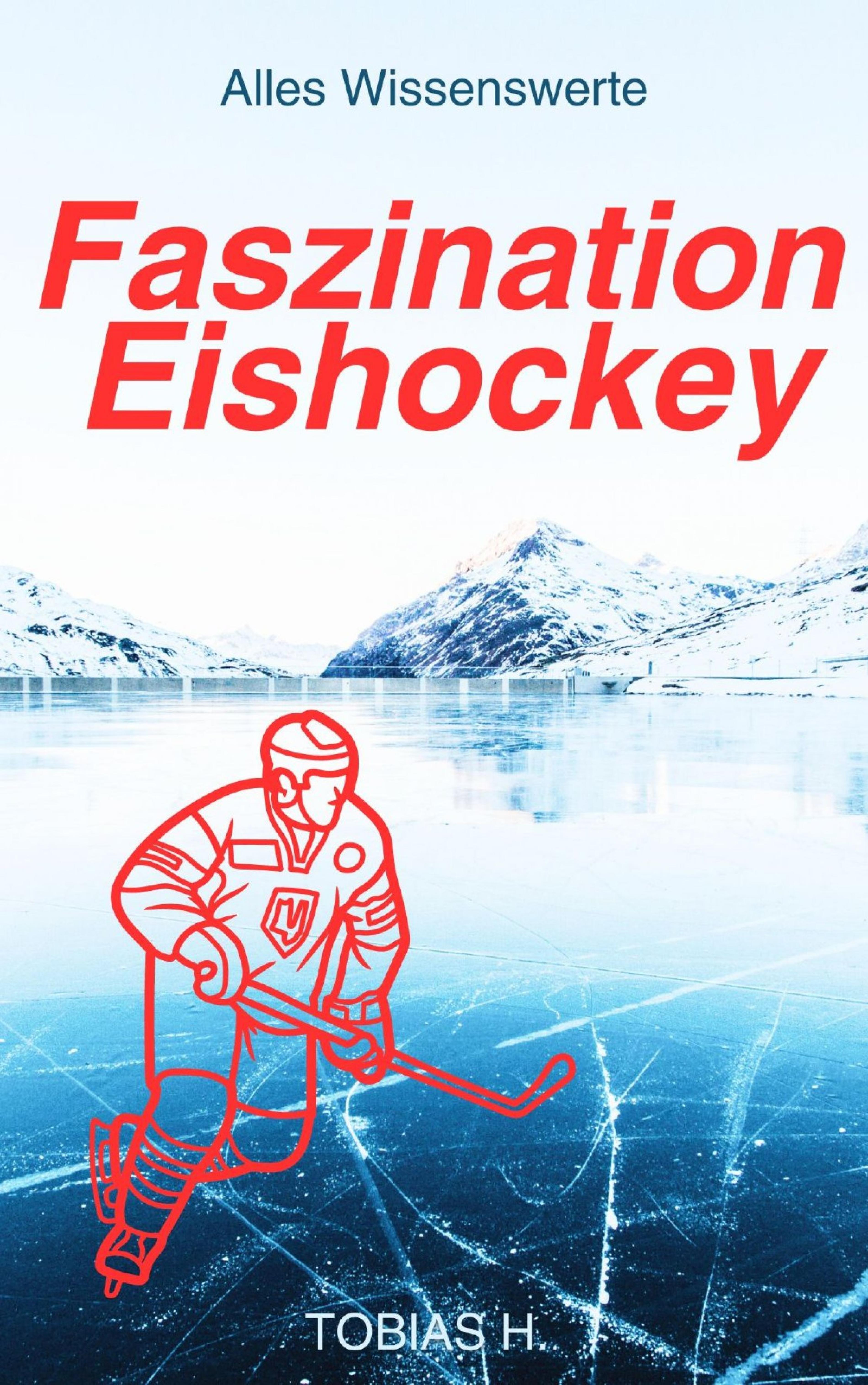 Faszination Eishockey - alles Wissenswerte
