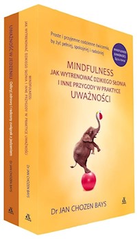 Jak wytrenować dzikiego słonia / Uważność w jedzeniu - Chozen Bays Jan - książka